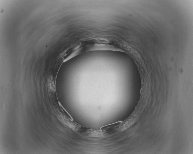 X0000087690384200705181801