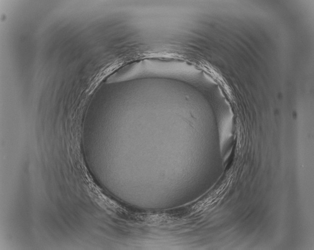 X0000087690385200705181800