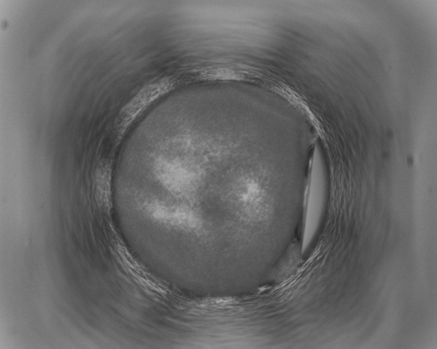 X0000087690386200705181800