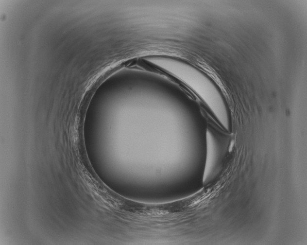 X0000087690387200705181800