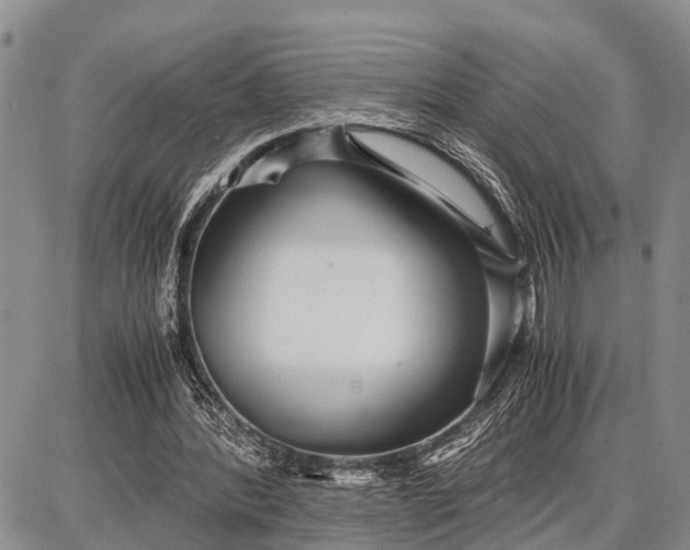 X0000087690388200705181800