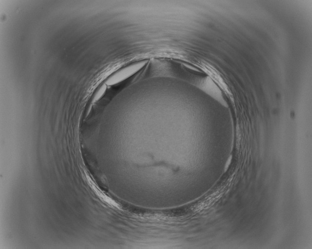 X0000087690389200705181800