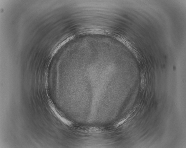 X0000087690390200705181800