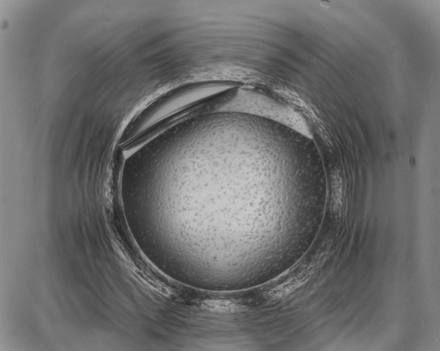 X0000087690392200705181800