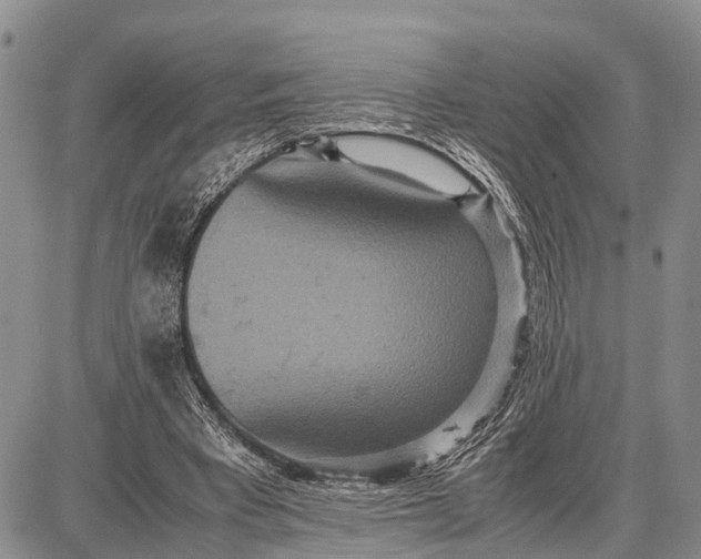 X0000087690393200705181800