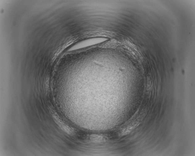 X0000087690394200705181800