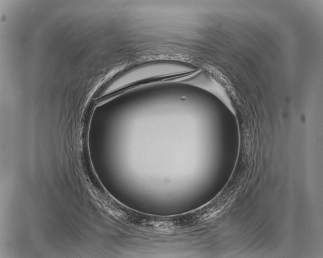 X0000087690395200705181800