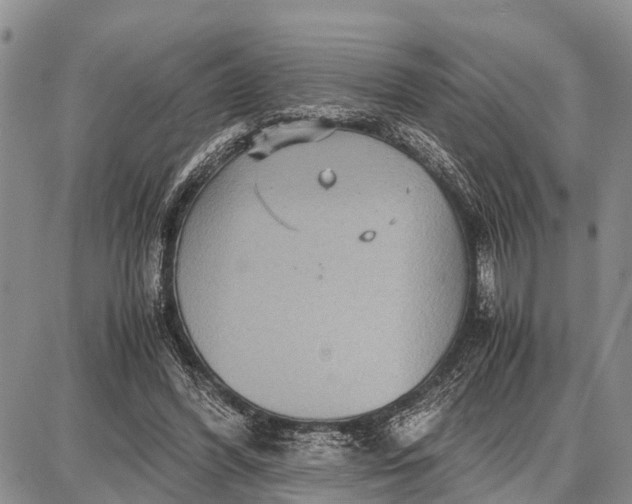 X0000087690396200705181800