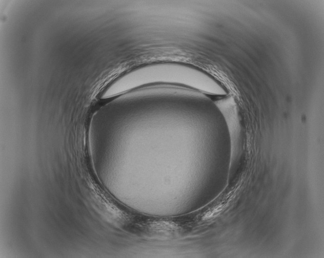 X0000087690397200705181800