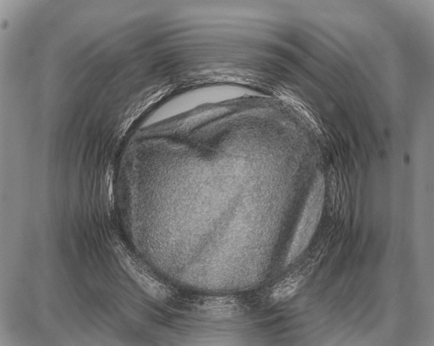 X0000087690398200705181800