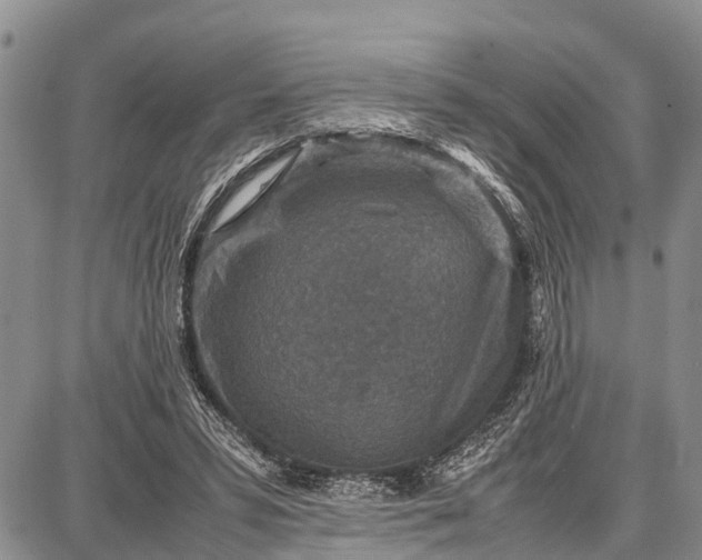 X0000087690399200705181800