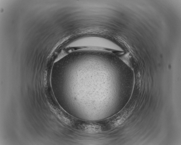 X0000087690400200705181800