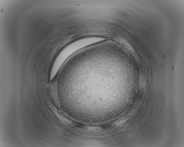 X0000087690401200705181800