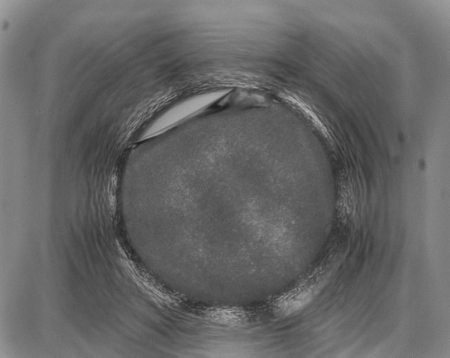 X0000087690402200705181800