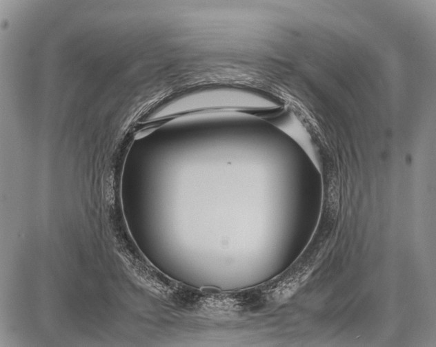 X0000087690403200705181800