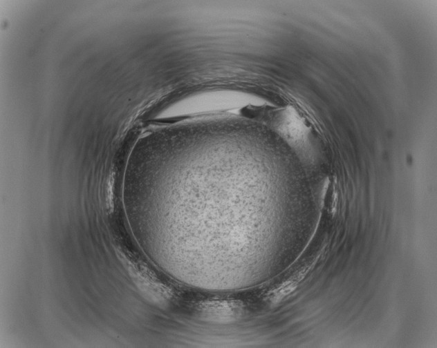 X0000087690404200705181800