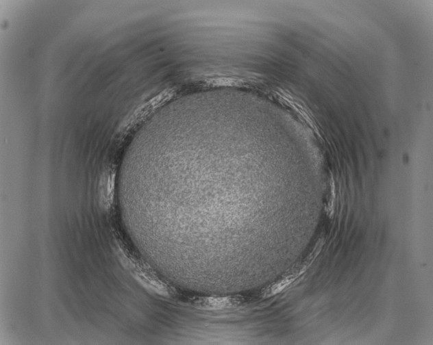 X0000087690406200705181800