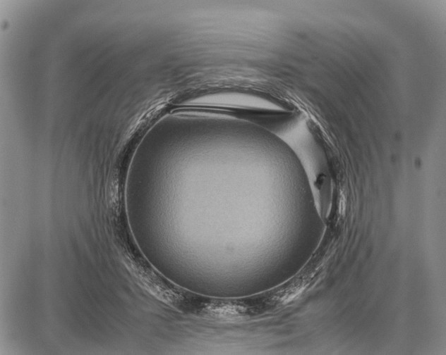 X0000087690407200705181800