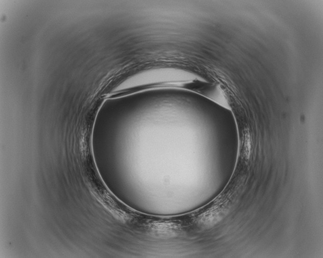 X0000087690408200705181800