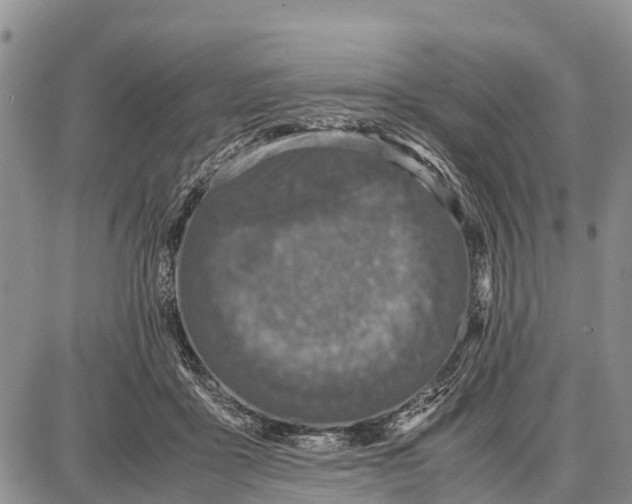 X0000087690411200705181759