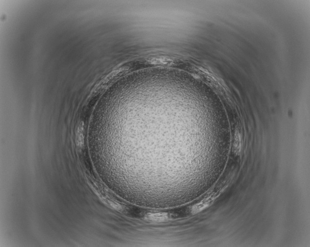 X0000087690413200705181759