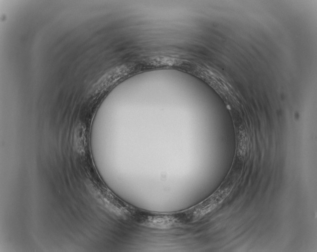 X0000087690414200705181759