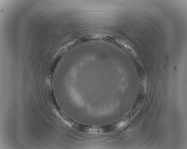 X0000087690415200705181759