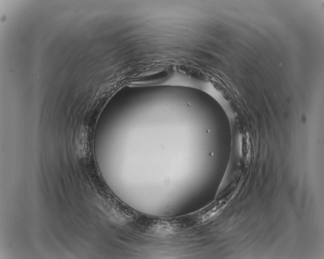 X0000087690416200705181759