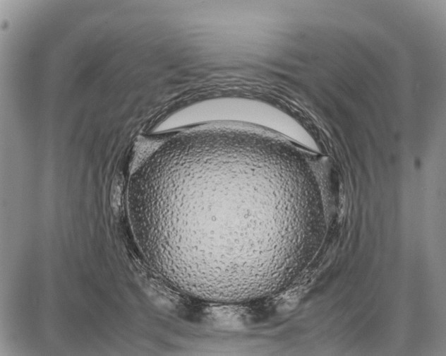 X0000087690417200705181759