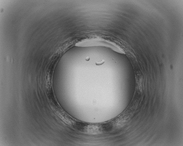 X0000087690418200705181759