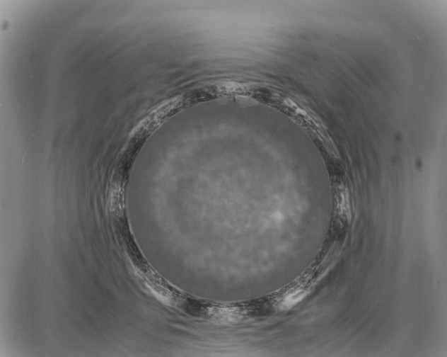 X0000087690419200705181759