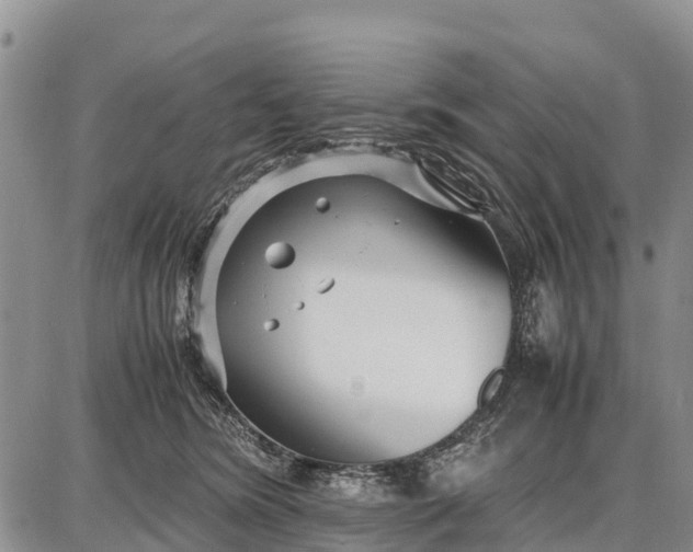 X0000087690420200705181759