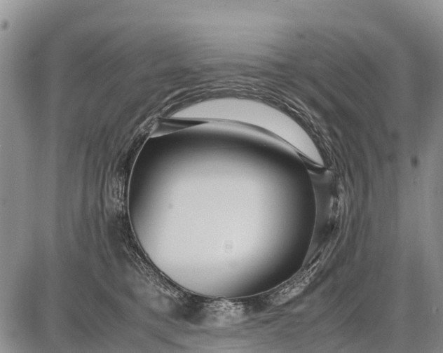 X0000087690421200705181759