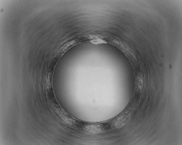 X0000087690422200705181759