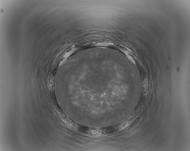 X0000087690423200705181759