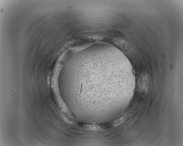 X0000087690424200705181759