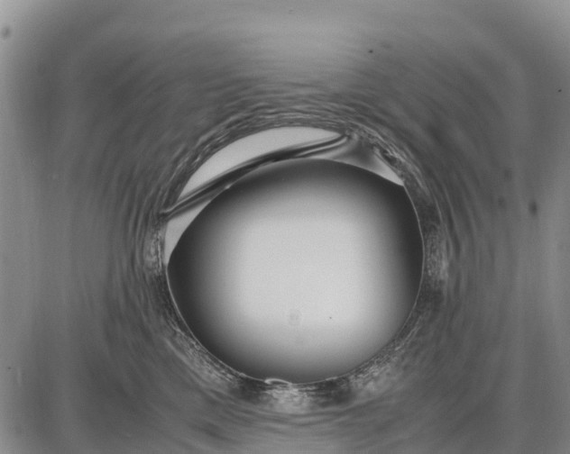 X0000087690425200705181759