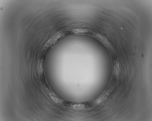 X0000087690426200705181759