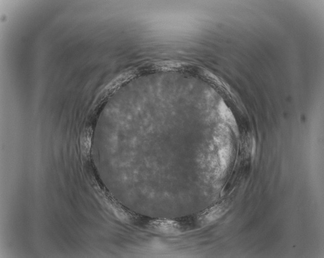 X0000087690427200705181759