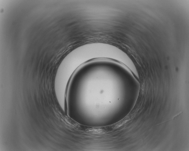 X0000087690428200705181759