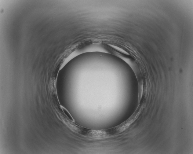 X0000087690429200705181759