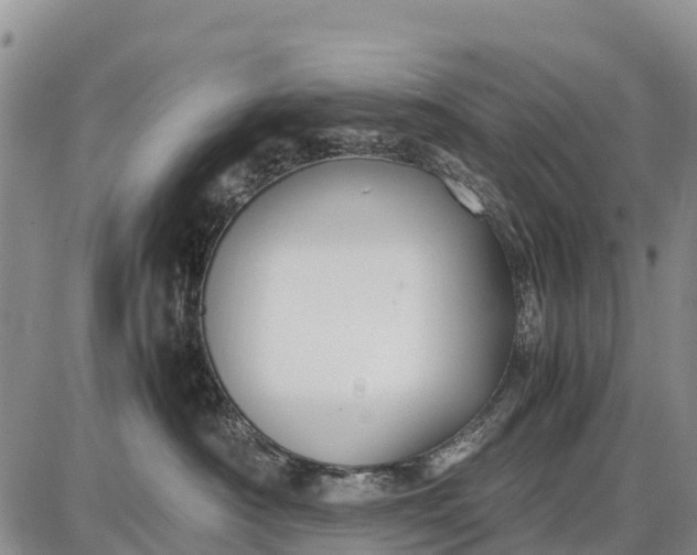 X0000087690430200705181759