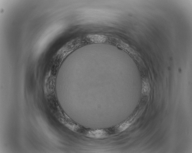 X0000087690431200705181759