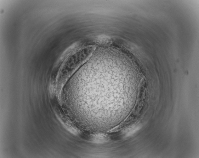 X0000087690432200705181759