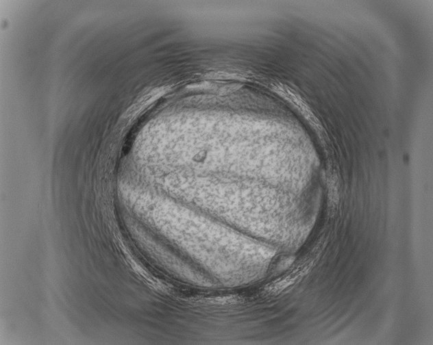 X0000087690433200705181758