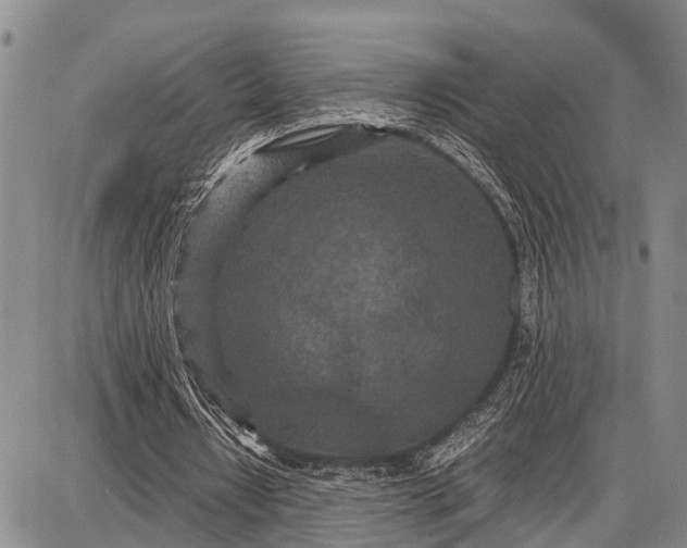 X0000087690434200705181758