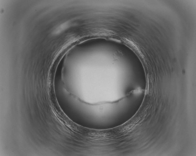 X0000087690435200705181758