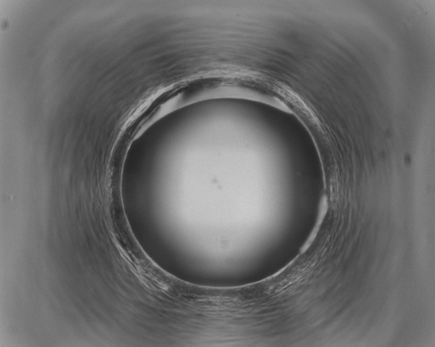 X0000087690436200705181758