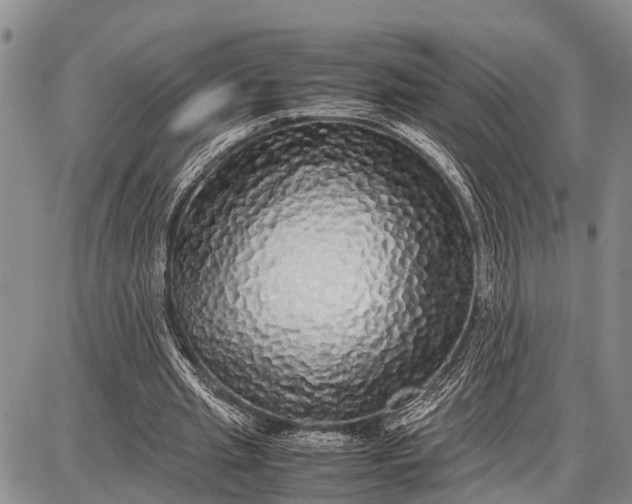 X0000087690437200705181758