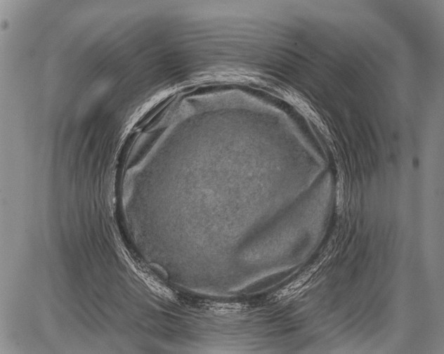 X0000087690438200705181758